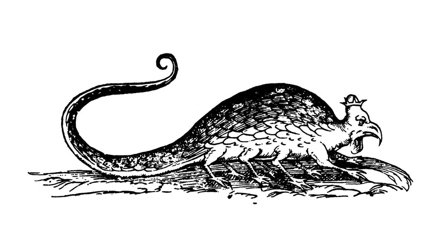 A crowned basilisk with a rooster's head and a serpent's tail, woodcut from Ulisse Aldrovandi's Serpentum et draconum historiae, 1640