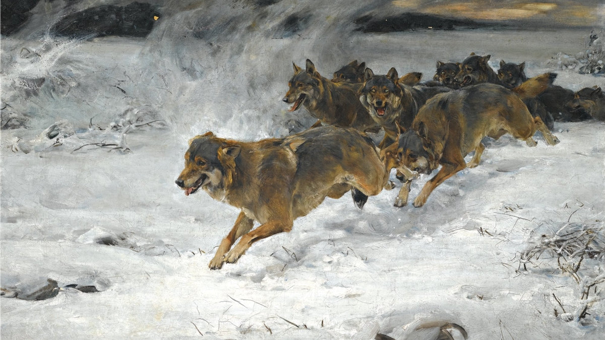 A pack of wolves running through a snowstorm, painting by Alfred Wierusz-Kowalski