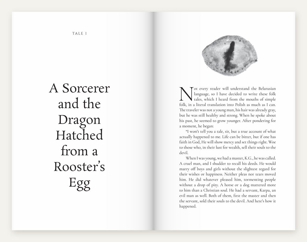 Look inside: Nobleman Zavalnia, a sorcerer and the dragon