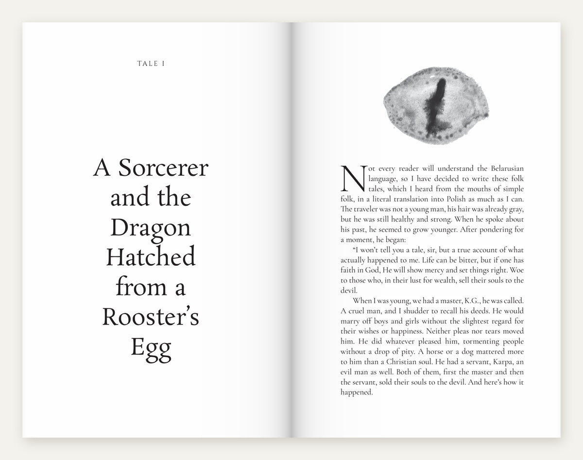 Look inside: Nobleman Zavalnia, a sorcerer and the dragon